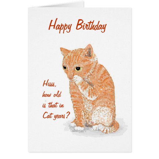 Cute Kitten Birthday card | Zazzle