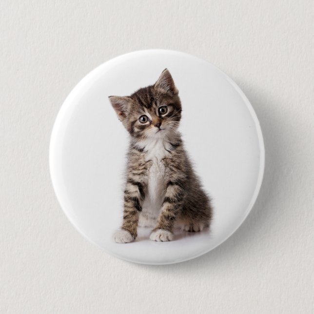 cute kitten button (Front)