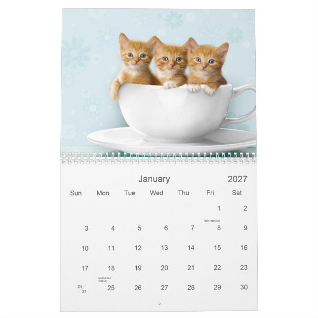 Cute Kitten Calendar (Jan 2027)
