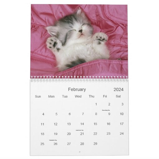 Cute Kitten Calendar | Zazzle