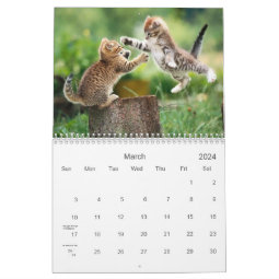 Cute Kitten Calendar | Zazzle