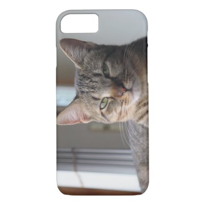 Cute Kitten Cat iPhone Case (Misty)