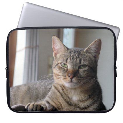 Cute Kitten Cat Laptop Sleeve (Misty)