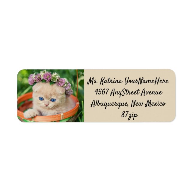 Cute Kitten Cat Lover Label (Front)