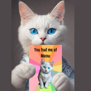 Cute kitten, Cat lover, you had me at Meow Card