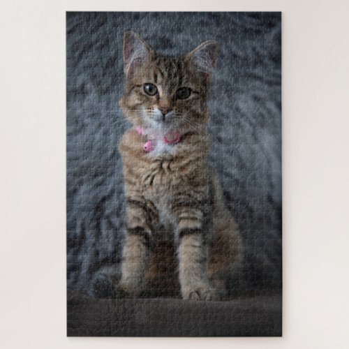 Cute kitten cat portrait 1014 pieces jigsaw puzzle