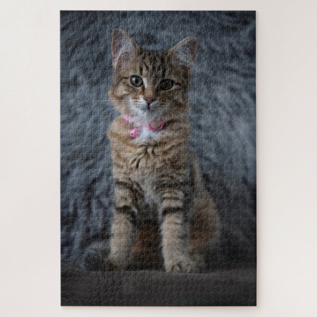 Cute kitten cat portrait, 1014 pieces jigsaw puzzle (Vertical)