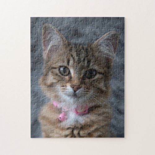 Cute kitten cat portrait 252 pieces jigsaw puzzle
