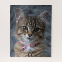 Cute kitten cat portrait, 520 pieces