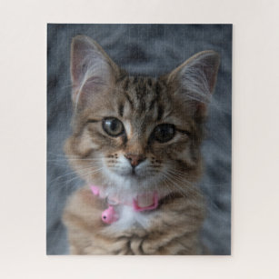 Cute kitten cat portrait, 520 pieces jigsaw puzzle