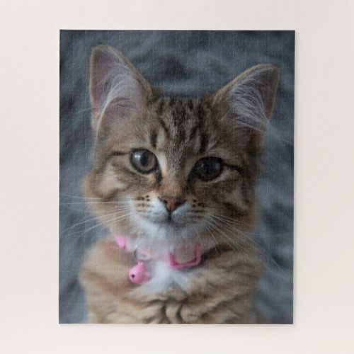 Cute kitten cat portrait 520 pieces jigsaw puzzle