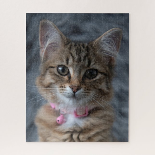 Cute kitten cat portrait, 520 pieces jigsaw puzzle (Vertical)