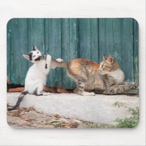 Cute Kitten Chasing Moms Tail Funny Cat Photo Mouse Pad