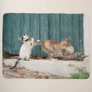 Cute Kitten Chasing Mom's Tail Funny Cat Photo - Sherpa Blanket