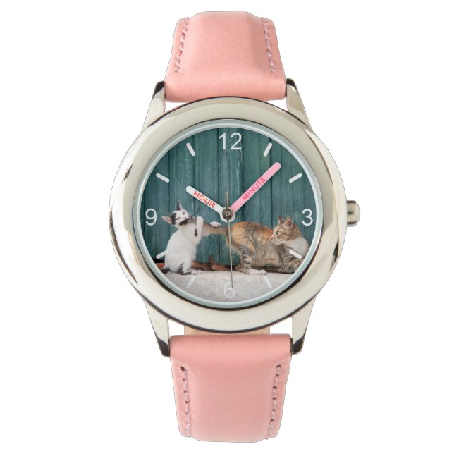 Cute Kitten Chasing Mom's Tail Funny Cat Photo - Watch (Front)