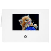 Cute kitten chewing. cards (Back Horizontal)