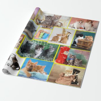 Cute Kitten Composition Wrapping Paper by patrickhoenderkamp at Zazzle
