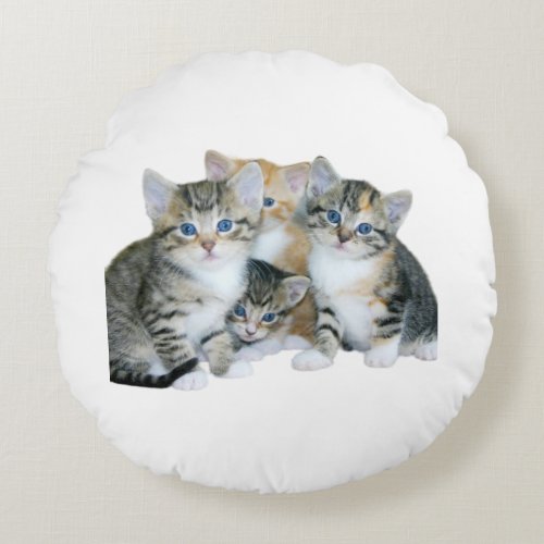 cute kitten cushions