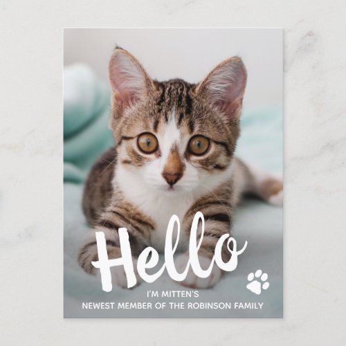 Cute Kitten Custom Cat Photo Hello New Pet  Announcement Postcard