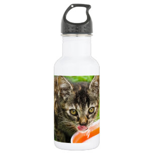 Cute kitten drinking out of a bowl water bottle