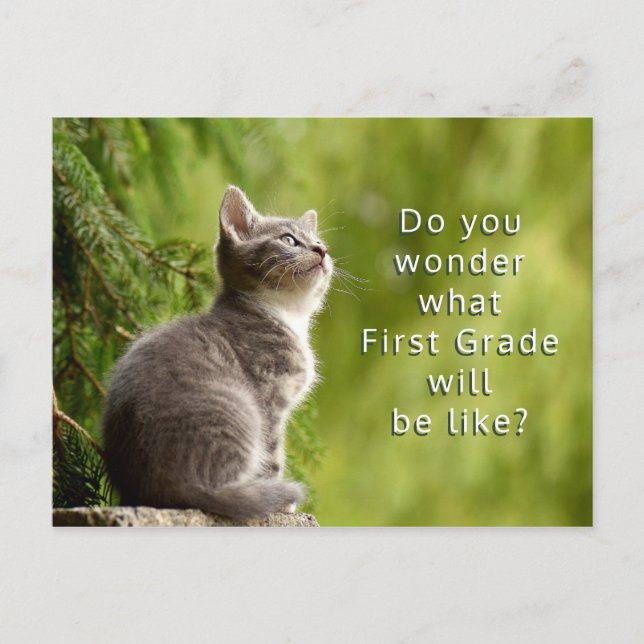 Cute Kitten Elementary Students Welcome Postcard (Front)