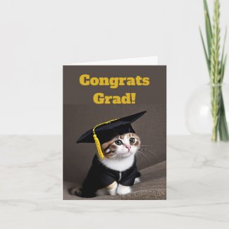 Cute Kitten Graduation 