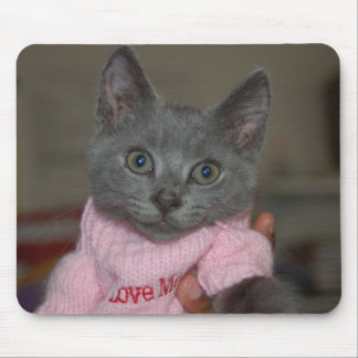 Cute Kitten in Sweater Mouse Pad
