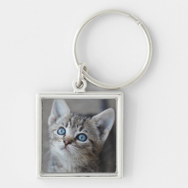 Cute Kitten In the Garden Keychain (Front)