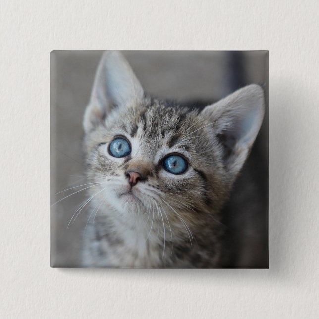 Cute Kitten In the Garden Pinback Button (Front)