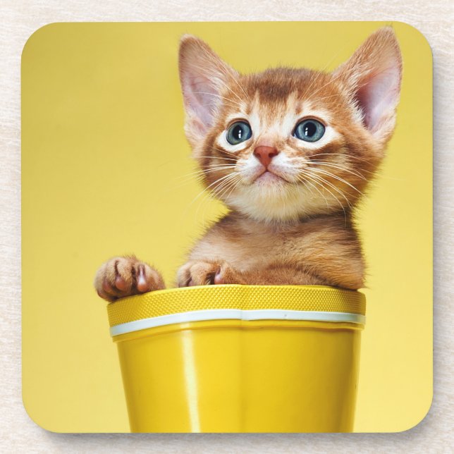 Cute kitten in yellow bucket beverage coaster (Front)