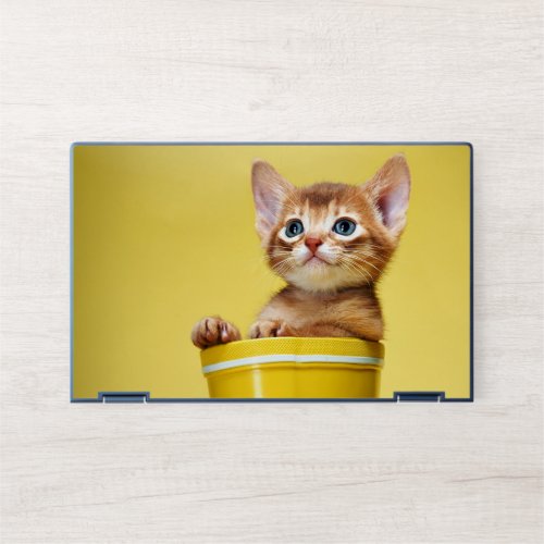 Cute kitten in yellow bucket HP laptop skin