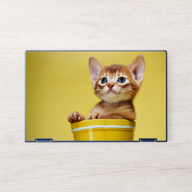 Cute kitten in yellow bucket HP laptop skin (Front)
