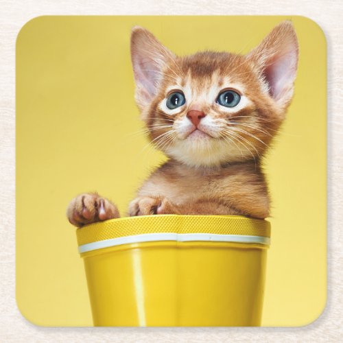 Cute kitten in yellow bucket square paper coaster