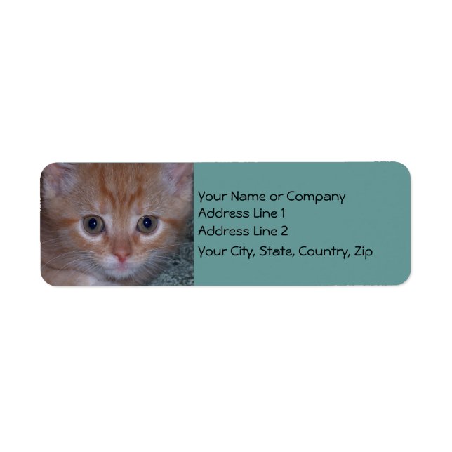 Cute Kitten Label (Front)