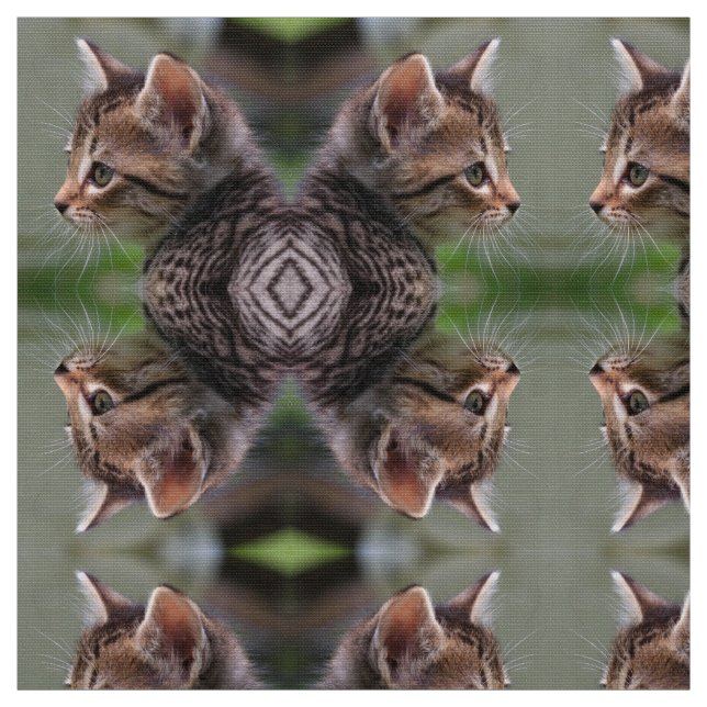 Cute kitten mirrored polyester poplin fabric (Swatch)