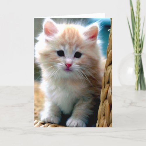 Cute Kitten Miss You Picture Card