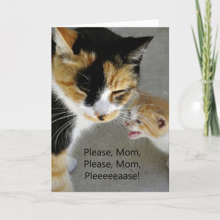 Cute Kitten Mom Happy Birthday Card | Zazzle.com