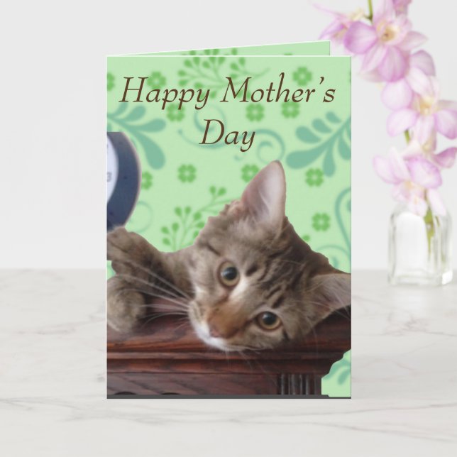 Cute Kitten Mother's Day Card (Orchid)