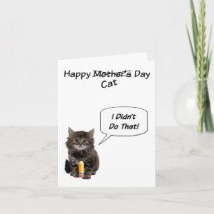 Cute Kitten Mother's Day Cards