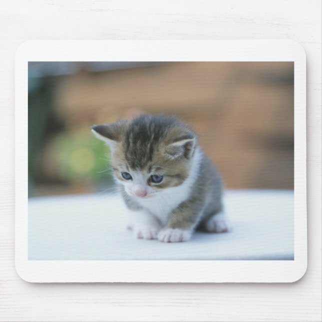 Cute Kitten Mouse Pad (Front)
