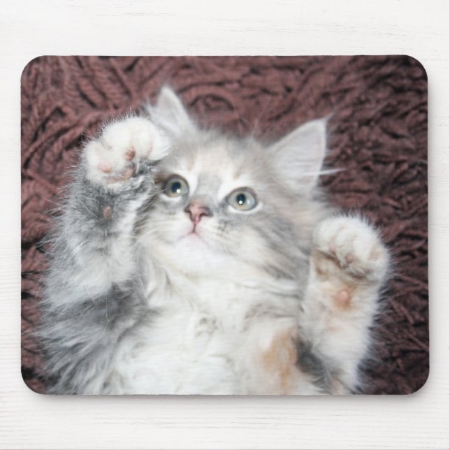 cute kitten mouse pad (Front)