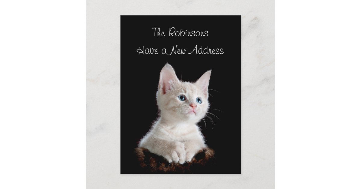 Cute Kitten New Address Announcement Postcard Zazzle
