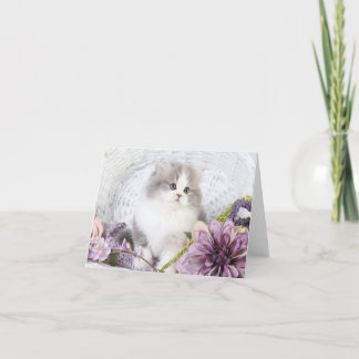 Cute Kitten Note Card