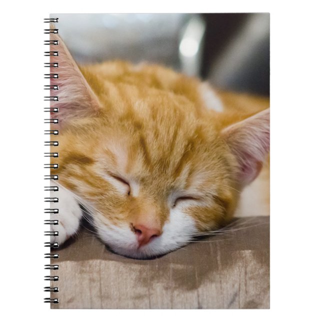 Cute Kitten Notebook (Front)