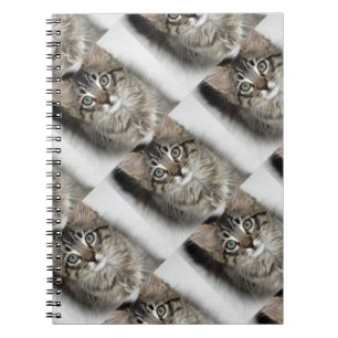 Cute Kitten Notebook