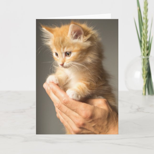 Cute Kitten on hands Card (Front)