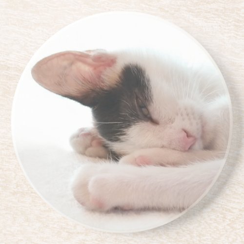 Cute Kitten or Your Photo Simple Round Sandstone Coaster