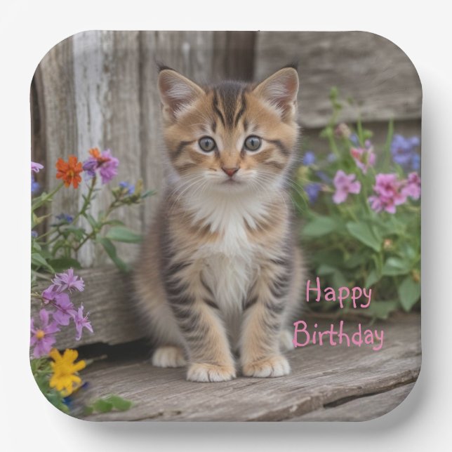 Cute Kitten  Paper Plates (Front)