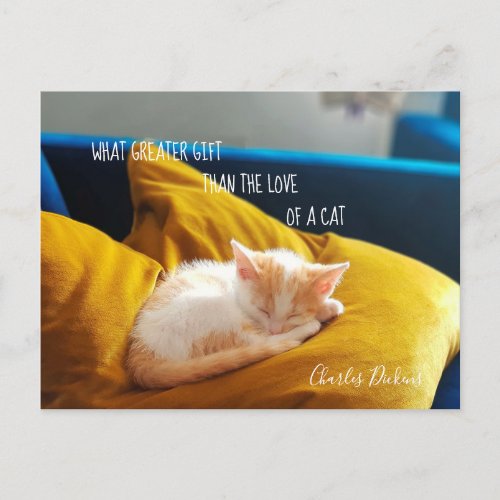 Cute Kitten Photo  Cat Quote Postcard
