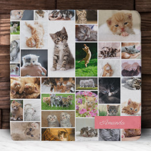 Cute Kitten Photo Montage Coral Pink Cat Trivet
